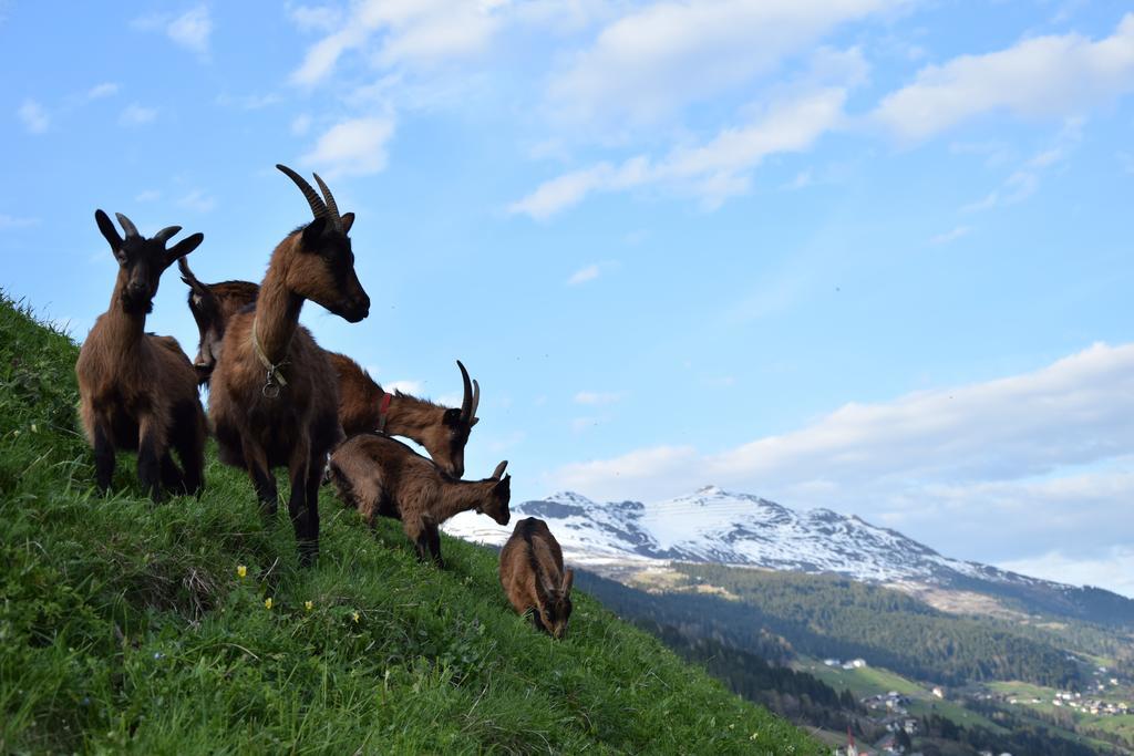 Garni Petter Hotel Kappl  Kültér fotó